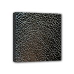 Ll Black Snake Mini Canvas 4  x 4  (Stretched)