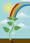 Growing Rainbows