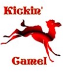 Kickin  camel