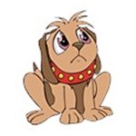 Innocent puppy