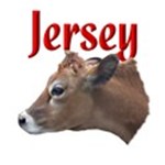 Jersey