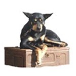 Kelpie 2
