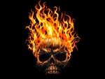 Skulls