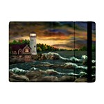 iPad Mini Flip Case 