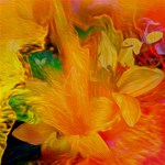Flowers from my heart