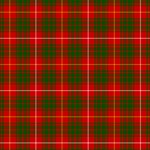 Bruce Tartan