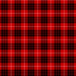 Munro Tartan