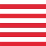 White and Red Horizontal Stripes
