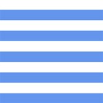White and Blue Horizontal Stripes