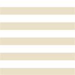 Horizontal Stripes - White and Pearl Brown
