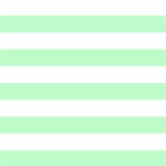 Horizontal Stripes - White and Mint Green