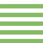Horizontal Stripes - White and Dollar Bill Green