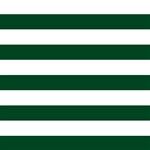 Horizontal Stripes - White and Forest Green