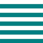 Horizontal Stripes - White and Teal