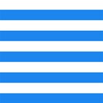 Horizontal Stripes - White and Dodger Blue