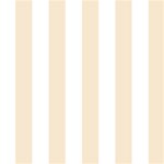 Vertical Stripes - White and Champagne Orange