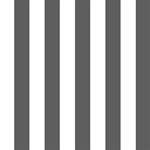 Vertical Stripes - White and Dark Gray