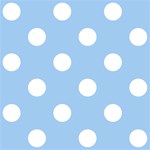 Polka Dots - White on Baby Blue