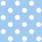 Polka Dots - White on Baby Blue