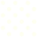 Polka Dots - Ivory on White
