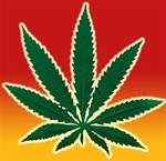 Marijuana,Cannabis