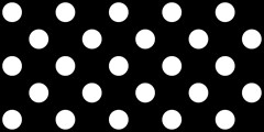 238 polka dots white on black 2400x1200