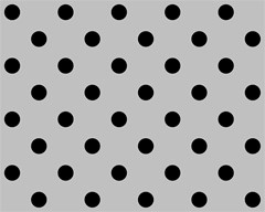 231 polka dots black on silver gray 3000x2400