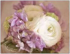 bouquet2