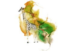 giraffe