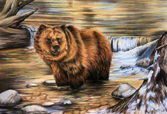 bear in water