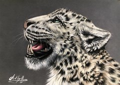 snowy leopard roar a3 print