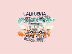 california surfer van