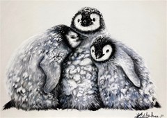 penguin chicks a2 print