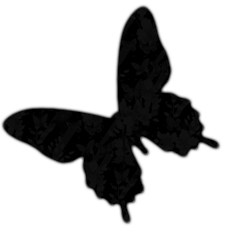 butterflycutoutblack