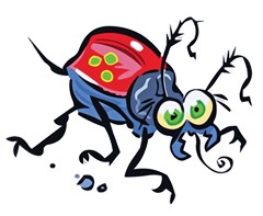 bug black insect animal