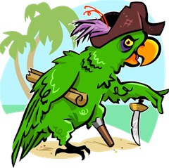 parrot hat cartoon captain