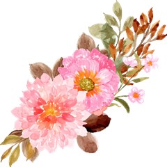 design5c