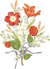design11