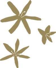 design13g
