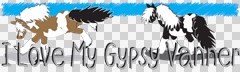 gypsy vanner sticker
