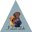  labrador retriever umbrella