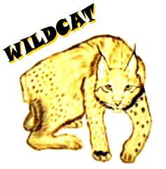 wildcat