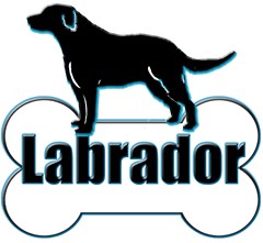 labrador bone
