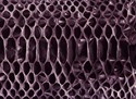Snake Skin 3