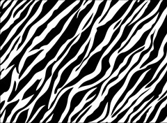 zebra skin