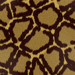 leopard print