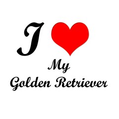 love my golden retriever