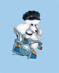 white poodle biker artsnow