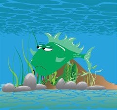 green grumpy fish