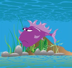 purple grumpy fish